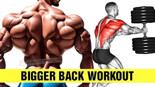 Most Effective Back Workout at Gym [upl. by Garrity190]