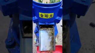 Electric poultry chicken feeds grass pellet making machine diesel cattle pelletizer machine [upl. by Learrsi]