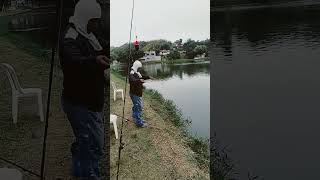 Pesqueiro irmãos Hara fishing pesca pescaecia [upl. by Bowerman205]