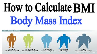 How to Calculate BMI  How to Check BMI at Home  Body Mass Index [upl. by Eiramaliehs]