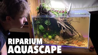 EPIC 10 Gallon Riparium Aquascape With Locally Collected Materials [upl. by Tatiana]