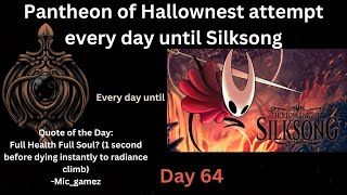 Pantheon of Hallownest attempt every day until Silksong Day 64 [upl. by Oderfigis]