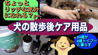 散歩後のお手入れも大切！ちょっとリッチ気分なケア用品で！トイプードル 散歩 デカプー 犬のいる生活 60代 [upl. by Nivert]