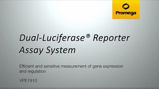 DualLuciferase® Reporter Assay System [upl. by Janelle401]