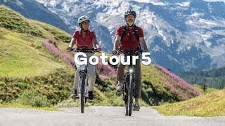 Modernes Komfort EBike Das ist unser Gotour5 [upl. by Anos643]