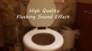 Toilet Flushing Sound Effect  High Quality [upl. by Godewyn304]