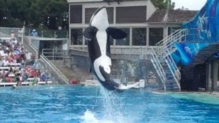 One Ocean SeaWorld San Diego 2013 Part 3 [upl. by Trillbee681]