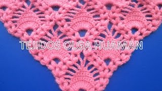 chal tejido a crochet Piñas combinado con punto espiga video 1 [upl. by Ecilegna]