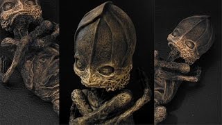 The 5 Most Mysterious Mummies [upl. by Smaoht]