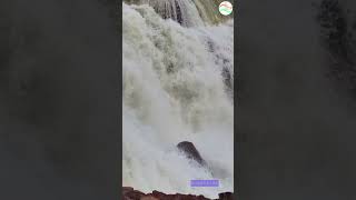 Halali Dam Raisen Madhya Pradesh naturalbeauty waterfall [upl. by Eilliw375]