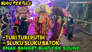 ENAK SEKALI BIKIN CANDU TURI TURI PUTIH VERSI BARONGAN JARANAN NOGO PERTOLO [upl. by Gauthier466]