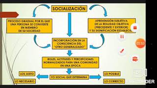 El proceso de socialización [upl. by Nibbor694]