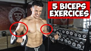 Des bras plus gros en 30jours  5 exercices biceps [upl. by Ignatius]