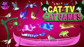 CAT GAMES COMPILATION  BEST CAT GAMES ON SCREEN  CAT ENTERTAINMENT VIDEOS MOUSE amp BIRDS 4K8 HOURS [upl. by Cori]