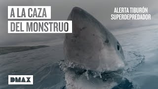 En busca del mayor superdepredador de las profundidades  Tiburones [upl. by Monia]