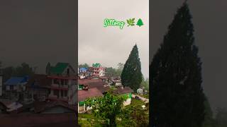 Sittong Treaking 🌿🌲🧚🧎‍♀️❤️🌲🌿☘️ treaking sittong homestay travel pahari [upl. by Rissa]