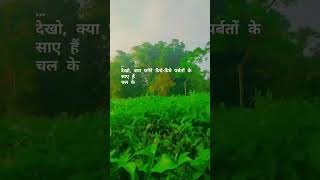 Westbengaltealeafgurdainviralshortvideo [upl. by Amitak]