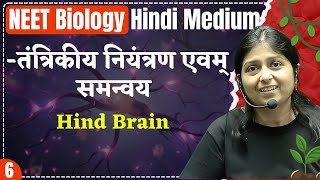 NEET Biology  L6  Hind Brain  तंत्रिकीय नियंत्रण एवम् समन्वय [upl. by Mairim57]