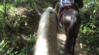 Subiendo la loma a Caballo [upl. by Chill]