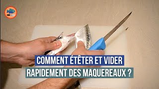 Comment étêter et vider rapidement des maquereaux [upl. by Adle638]