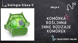 Biologia klasa 5 Lekcja 6  Komórka roślinna i inne rodzaje komórek [upl. by Ecnarwal]