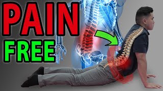 6 Absolute Best Exercises for Low Back Pain  SIJ  Facet Syndrome Mobilisation  Lumbar Pain [upl. by Enahc262]