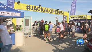 It was epic Jackalope Fest organizer says it drew massive crowd [upl. by Erickson444]