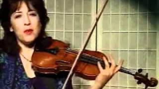 Violin Lesson  Special Effects for Playing Violin Glissando Harmonics and Stacatto [upl. by Llerdnad]