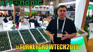 Огурец Баде F1 на Growtech 2019 [upl. by Pals]