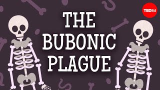 The past present and future of the bubonic plague  Sharon N DeWitte [upl. by Asel]