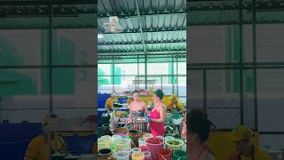 Amazing working So GoodThai Street Food [upl. by Hplodnar]