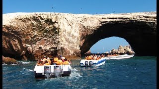 Islas Ballestas en Paracas Perú 2019 [upl. by Nednil]