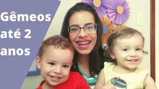 MINHA EXPERIÊNCIA COMO MÃE DE GÊMEOS ATÉ 2 ANOS [upl. by Cocks623]