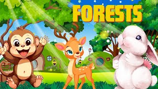 Into the Wild Fun Forest Exploration for Kids  Kids education video  Largest forests on earth [upl. by Yatnuhs]