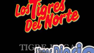 Morir MatandoLos Tigres del Norte Album El Ejemplo Año 1995 [upl. by Juliano]