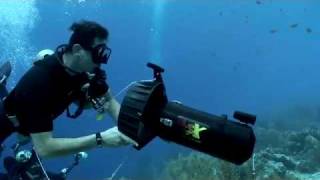 Monkey Diving Buoyancy without a BC [upl. by Faustina]