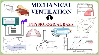 Mechanical Ventilation physiology  Lung mechanics compliance and resistance [upl. by Ttenyl]