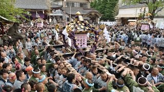 浅草・三社祭「宮出し」 平成２８年度 浅草神社例大祭 [upl. by Ateerys]