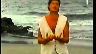 David Hasselhoff  quotDuquot  Official Music Video [upl. by Nerok83]