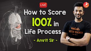 How to Score 100 in Life Processes CBSE Class 10 202324 Science Biology Chapter 6  NCERT [upl. by Delisle]