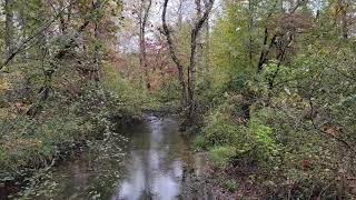 Cades Cove Fall Hike Part Two 10 17 23 [upl. by Emmalyn]