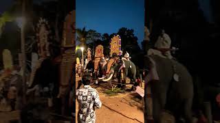 Temple Elephant Festival Kerala 🙏🙏🙏🙏 shailpoints culturalfestival celebration hindu shorts yt [upl. by Tireb]