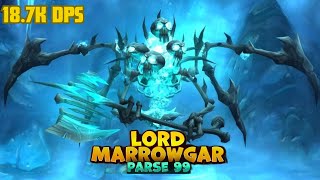 Lord Marrowgar 25HC 187k 99 Parse  Wrath of the Lich King Classic Demo Warlock [upl. by Retsevlys]