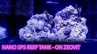 Starting NANO REEF TANK  sps on ZEOVIT  Acropora from day 3 [upl. by Zane]