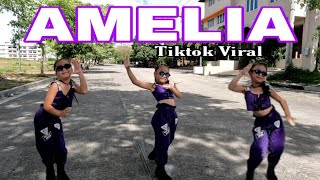 AMELIA  TIKTOK VIRAL  Dj KRZ remix  Dance work out by AnnicaTamo7 [upl. by Ijnek357]