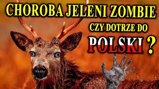 Inwazja Jeleni Zombie  Są Już w Europie  Czy Pojawią się w Polsce [upl. by Lawry232]