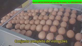 四到六Instruções de operação da Automated Egg Grader Etapas 4 a 6 [upl. by Wamsley327]