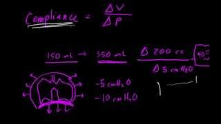 Pulmonary Compliance The Basics [upl. by Herbert606]