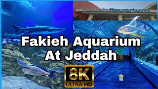 Fakieh Aquarium Jeddah  Biggest Aquarium of saudia Arabia aquarium jeddahsaudiarabia [upl. by Alyakem]