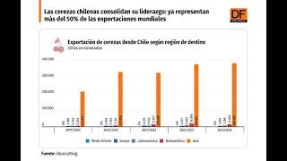 DATA DF  Cerezas chilenas consolidan su liderazgo representan más del 50 de exportación mundial [upl. by Haldeman32]